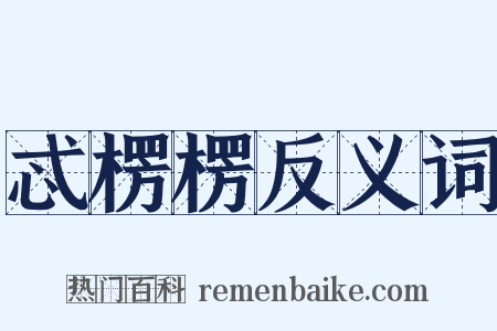 忒楞楞反义词是什么意思的图片